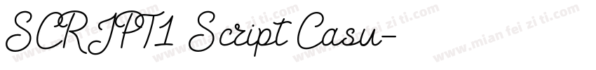 SCRIPT1 Script Casu字体转换